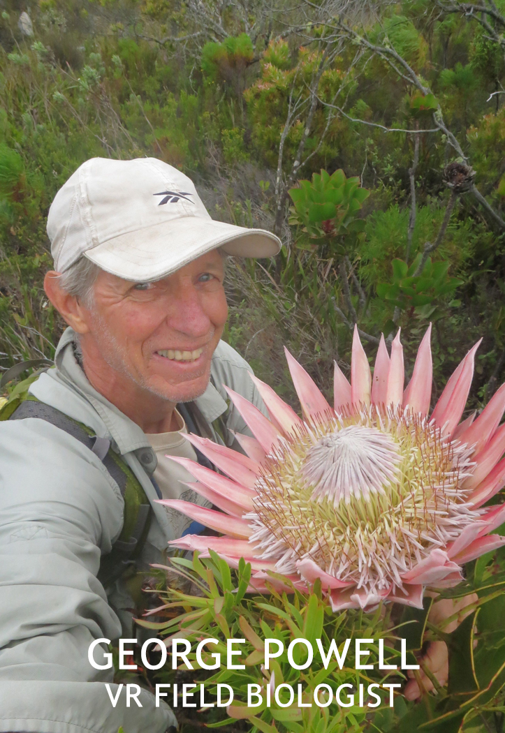 Portrait of a male conservation biologist beside a large tropical flower.